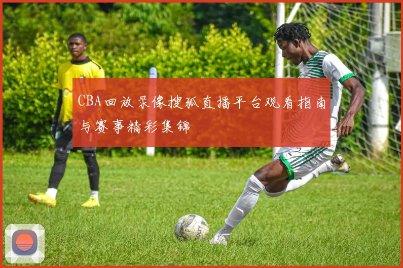 CBA回放录像搜狐直播平台观看指南与赛事精彩集锦